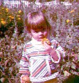 Hilary Welbourne; Garden